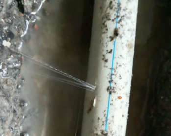 西丰卫生间测漏水多少钱
