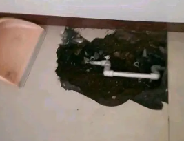 西丰卫生间测漏水多少钱